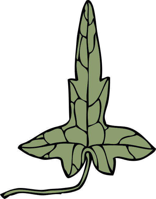A Cartoon of a Leaf with a Long Stem