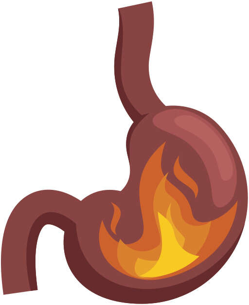 A Cartoon Stomach with a Fire Inside of It