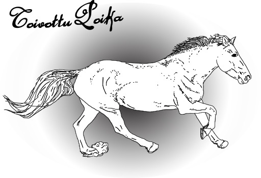 흰색 배경에 흰색 말 Galloping