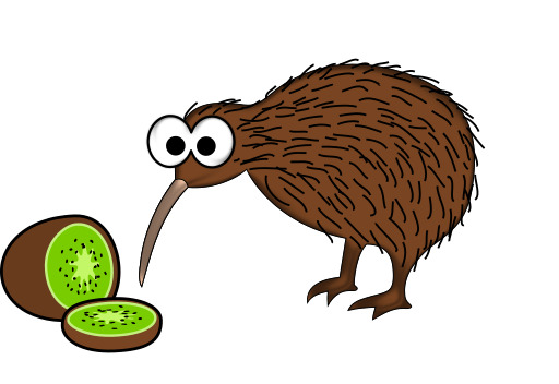 Kiwi 먹 a 조각 의 과일