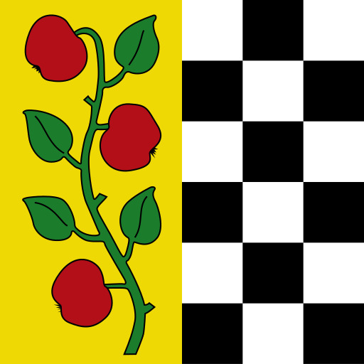노란색과 검은 색 Checkered 배경에 빨간색 로즈의 그림