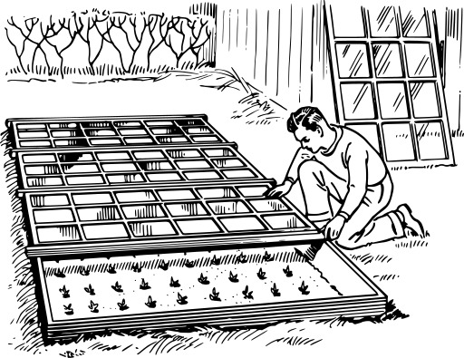A Man Working In The Garden에 대하여
