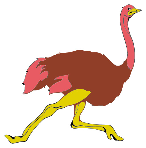 흰색 배경에 Ostrich Walking