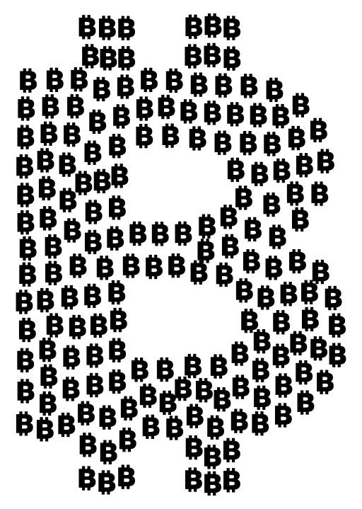 비트 코인 비트