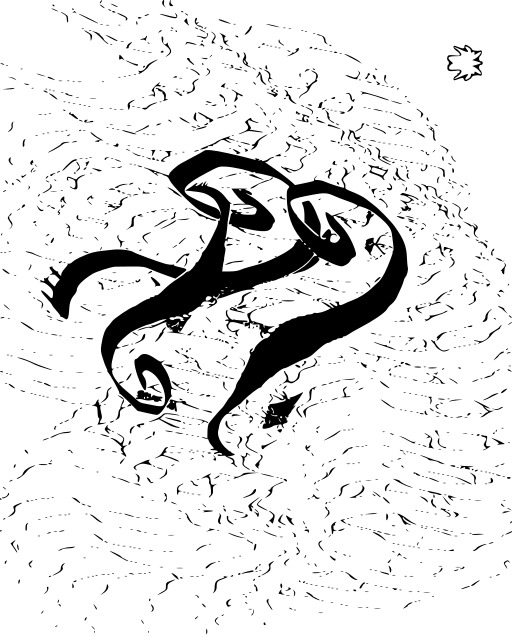 검정 과 화이트 Two Dolphins 수영 에 The Ocean