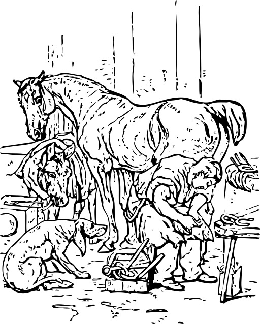 블랙 And White A Horse Being Milked