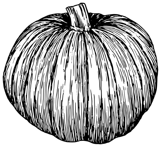 블랙 And White A Pumpkin 2