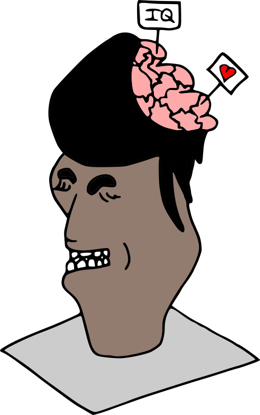 머리에 뇌가 있는 사람