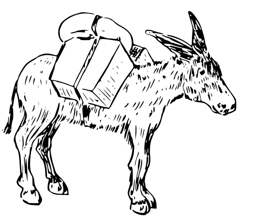 돈키 With A Backpack On ItS Back