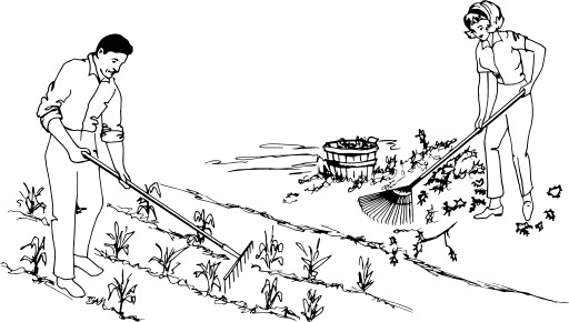 사람 과 a 여성 are working 에 그만큼 정원