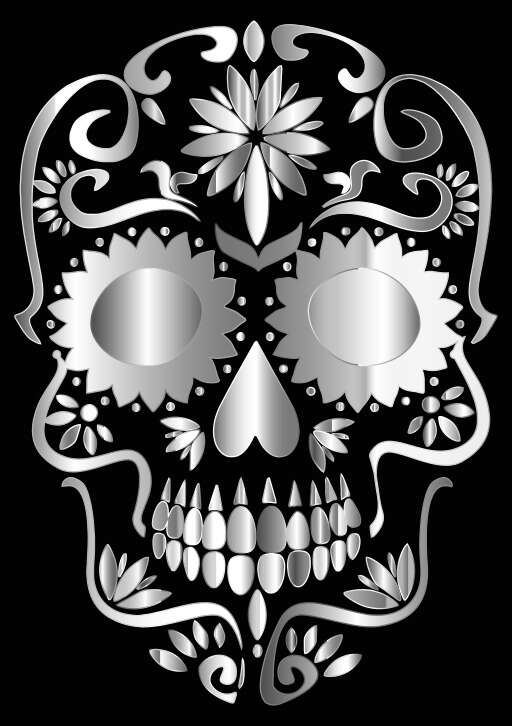 Silver Skull On A Black Background (2)