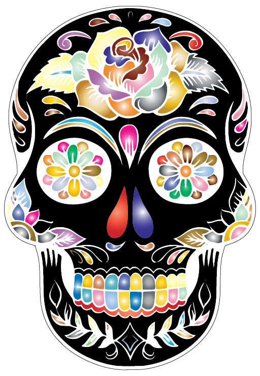 Skull With Colorful Flowers On ItS Face