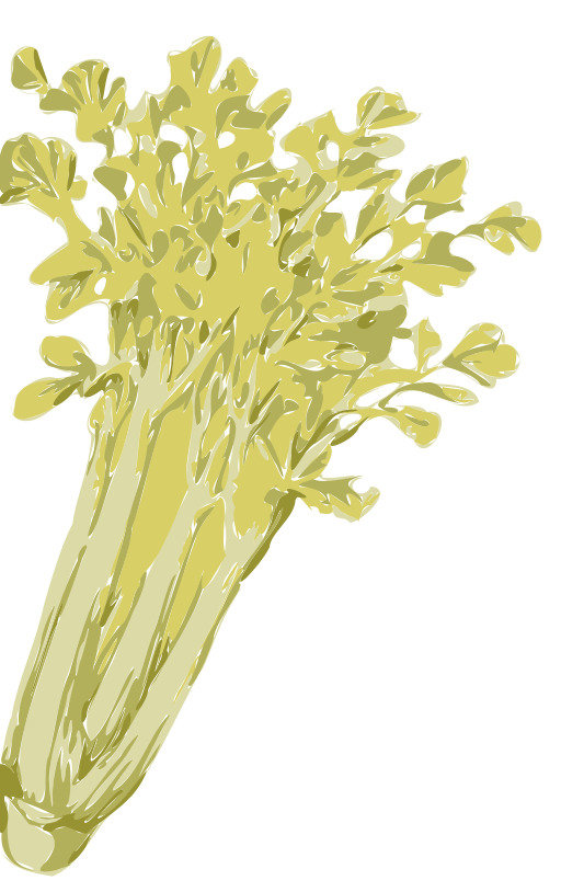 흰색 배경에 Carrots의 Bunch