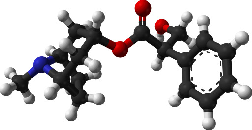 Molecule의 분자 모형