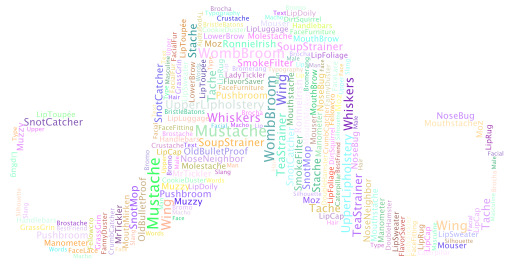 Word Cloud와 다른 언어의 WordS 이름