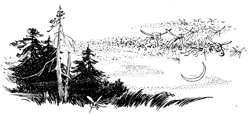Black And White A 포스트