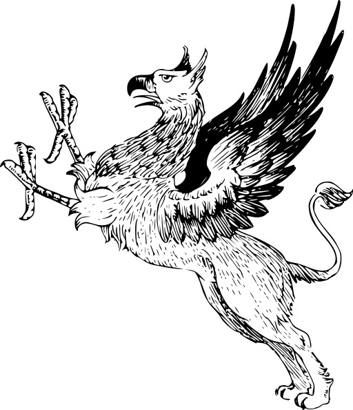 블랙 And White An Eagle