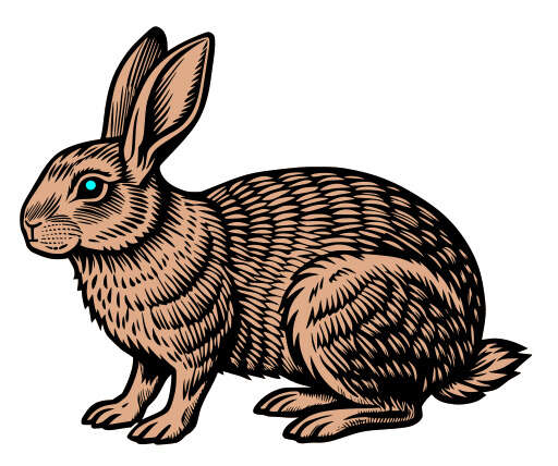 Brown Rabbit With Blue Eyes On A White Background