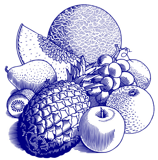 런치 Of Fruit With A Sun In The Background