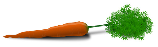 카로 And A Carrot On A White Background