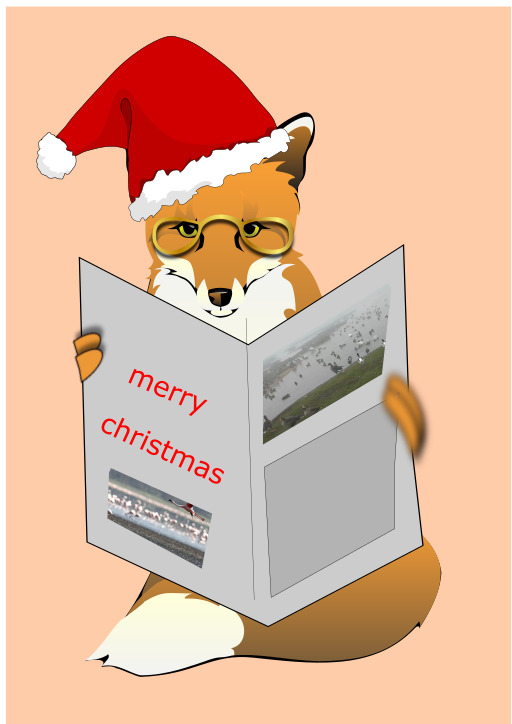 Fox Wearing A Santa Hat And Reading A 뉴스