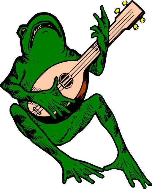 Frog Playing Guitar