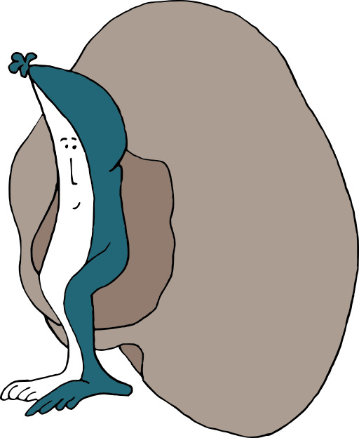 이미지 Of A Penguin With Its Mouth Open