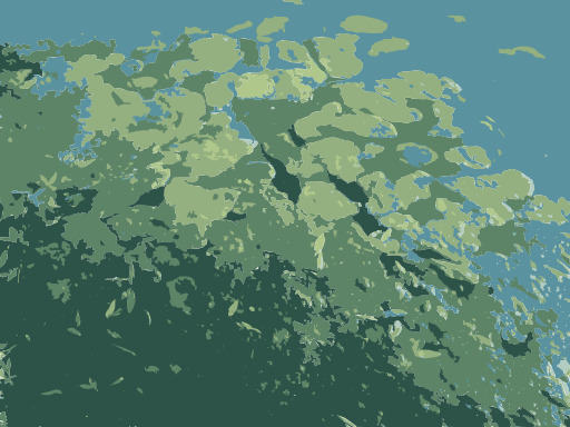 지도 Showing The Extent Of A Forest