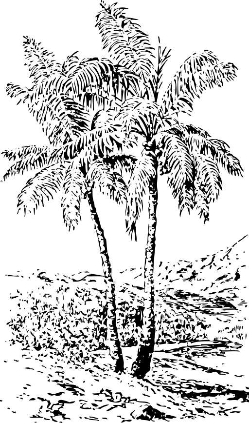 poster map owl palm tree (9)