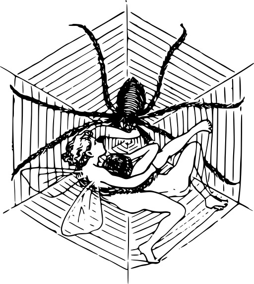 스파이더 In A Spider Trap Coloring Page