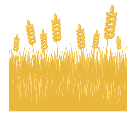엠에디터 플러그 인 참조:Wheat Stalks In The Fore