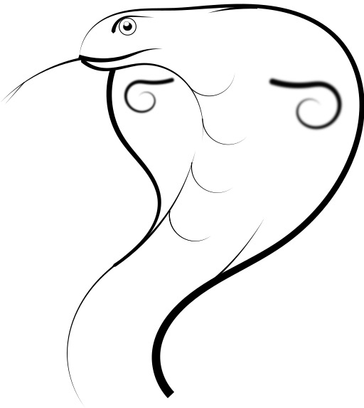 흑백 한 뱀 9