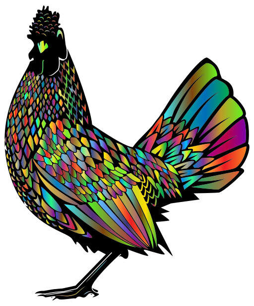 Colorful Rooster On A White Background 4