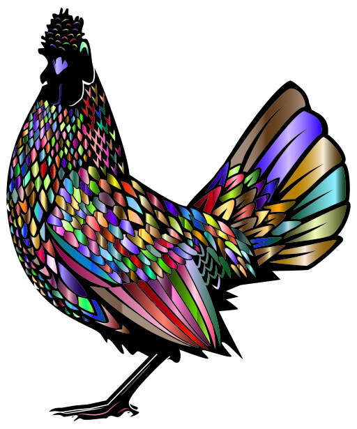 Colorful Rooster On A White Background 5