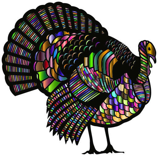 Colorful Turkey Silhouetted On A White Background 2