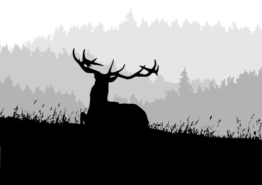Deer 실houetted Against A Foggy Background