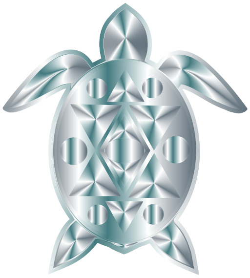 실버 터틀 With A Geometric Pattern On ItS Back