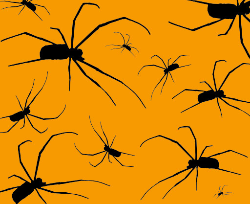 스파이더 실루엣 On An Orange Background