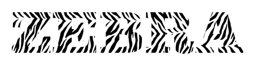 흰색 배경의 zebra print 2