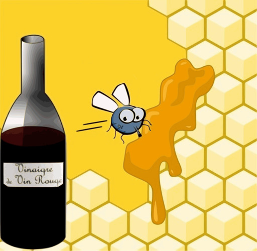 A Bee 과 A 병 의 와인