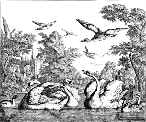 A 검정 과 화이트 Illustration 의 A Flock 의 Birds