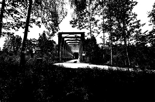 A 검정 과 화이트 사진 의 A Bridge 에 The Woods