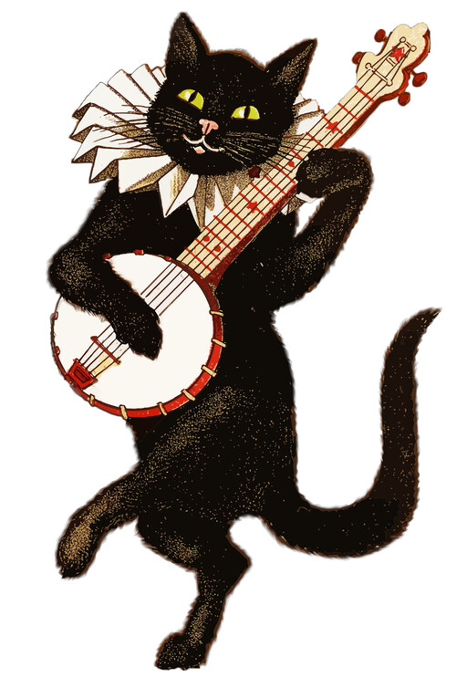 A 검정 고양이 재생 a banjo 에 a 흰색 배경