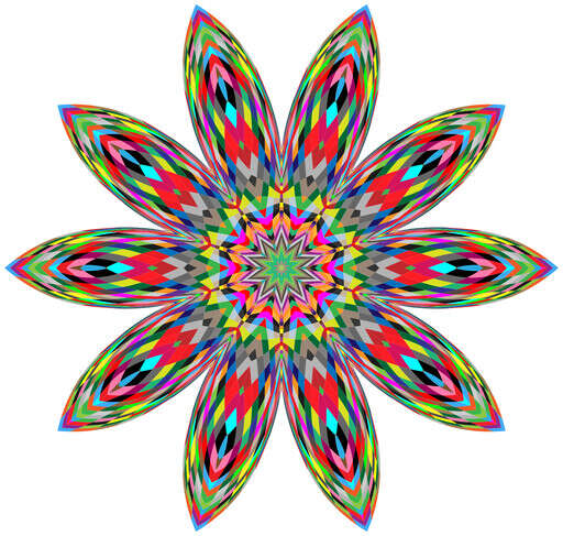 A Colorful Flower On A White Background(49)