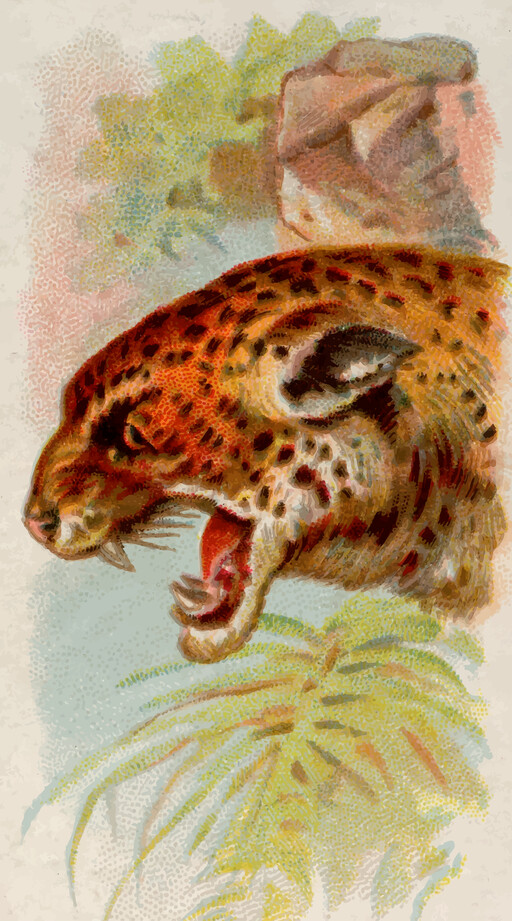 A 의 a leopard 와 그것의 입 열린