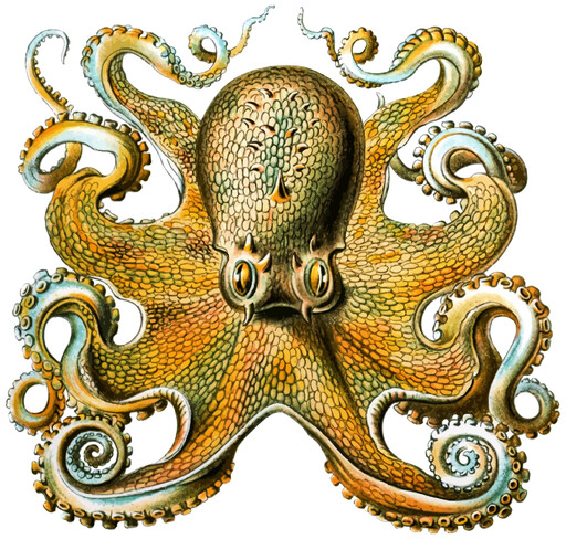Tentacles와 Tentacles를 가진 Octopus의 그림