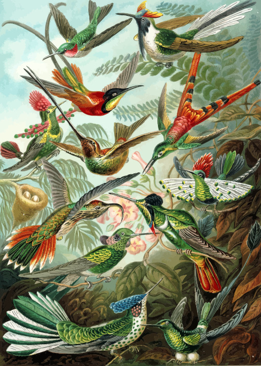 비행에 Hummings의 무리