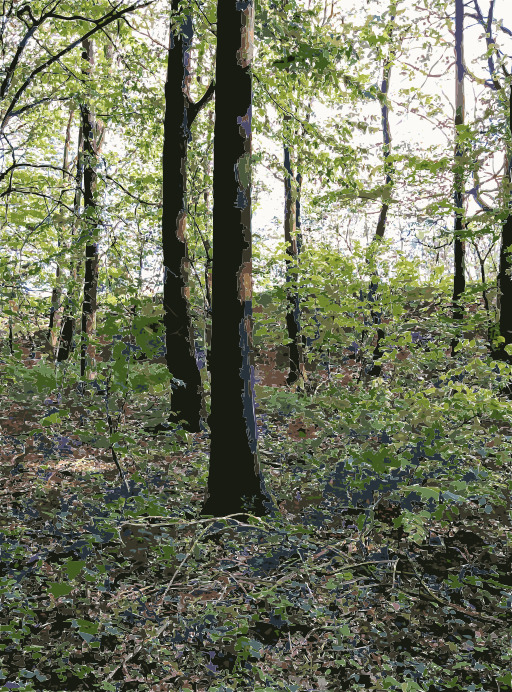 지상에 있는 불을 가진 Wooded 지역