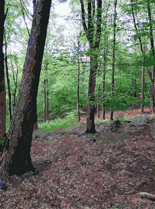 파란 불 Hydrant를 가진 Wooded 지역