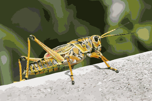 벽의 가장자리에 Grasshopper